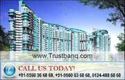 DLF Regal Gardens Sector 90 Gurgaon,  Call: 0124-488 68 68 