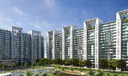 3 BHK  in mohali Area :- 1400 Sq. feet. Total :- Rs.65, 00000/-