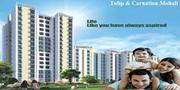 Ansal api Tulip and Carnation Tower Sector 115 Mohali Puneet Vaid 