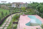 Green Beauty Farm Land for Sale in Greater Noida