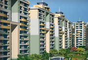 4 BHK For Sale in Gaur Sports Wood Noida Sector 79 (9999561111)