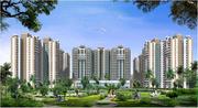 Luxury Apts In Sec-1,  Gr Noda WEST