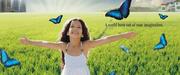 DLF Floors Mullanpur,  DLF TEARRECES Floors in Mullanpur,  New Chandigar