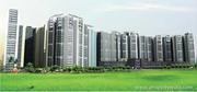Panchsheel Greens2 - 9999748000