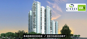 CHD Vann @ 8468003302