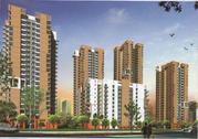 Mahalaxmi Royal Crest Construction Update Call @ 09999536147 In Bhiwad