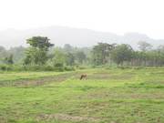 3 Bigha River Side Hill Based Land for Sale