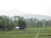 Hill Based Land for Sale