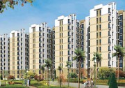 Explore Pleasurable Living Experience at Avalon Rangoli @ 09873245830