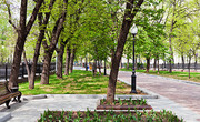 Vatika Residential Projects in Dwarka Delhi,  Township Vatika Express