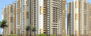 Explore Pleasurable Living Experience at Primrose Ryne @ 09873245830