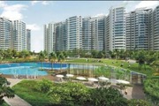Ajnara Daffodil Sector 137 Noida Call Us JKM @ 9582810000