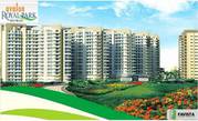 Introducing Magical Deluxe Living at Avalon Royal Park