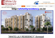 Parker White Lily Sonepat 9350193692