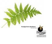 Prestige group upcoming projects Bangalore @ -8971315026