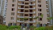 Sale Flats in Assotech Windsor Court,  Sector 78,  Noida