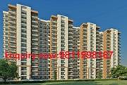 Ready to move 2BHK flat for sale in sector 37c Gurgaon